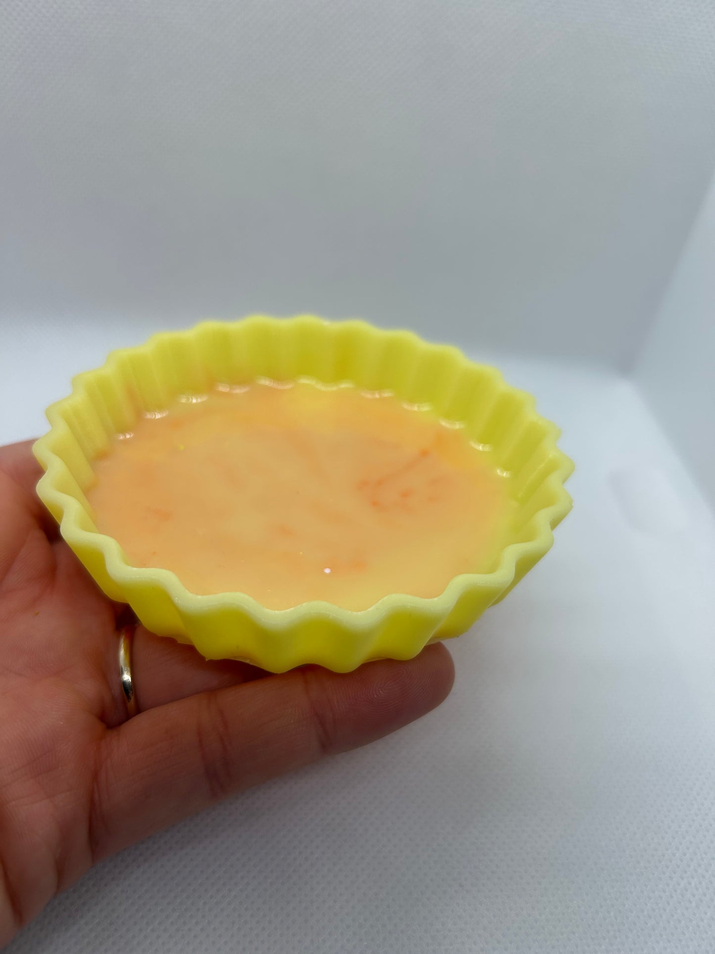Large tart case / pie dish