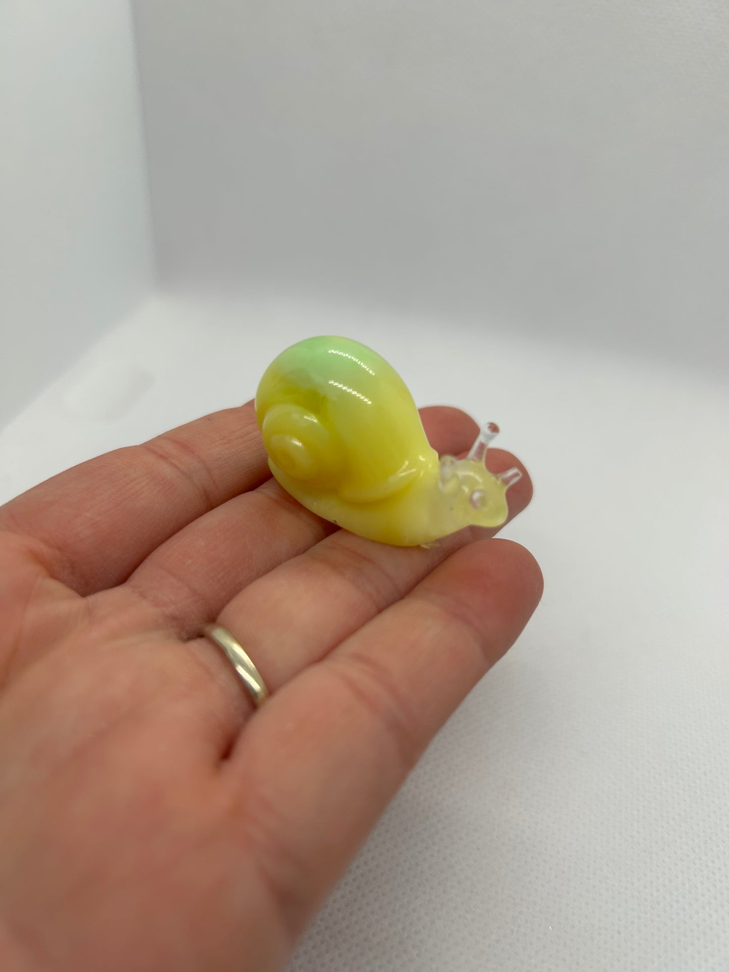 Baby Snail