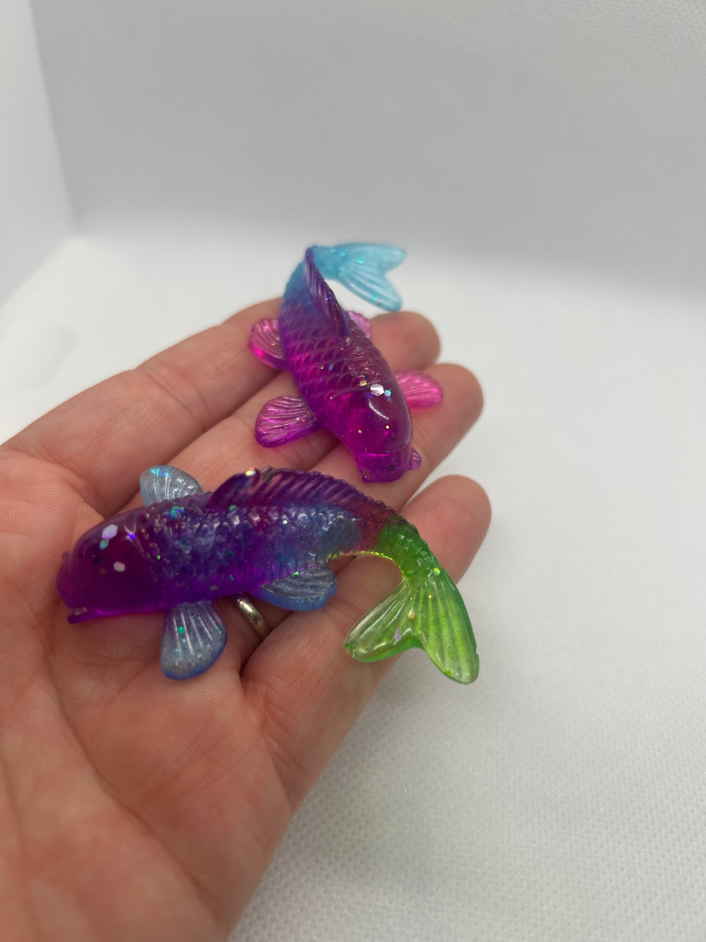 Fish (1)
