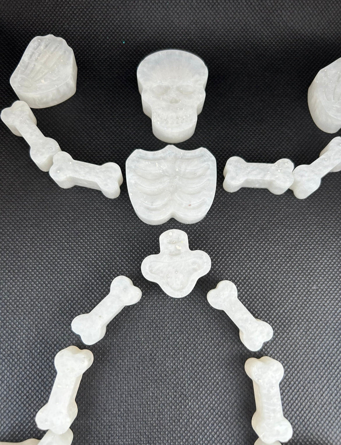 Skeleton puzzle