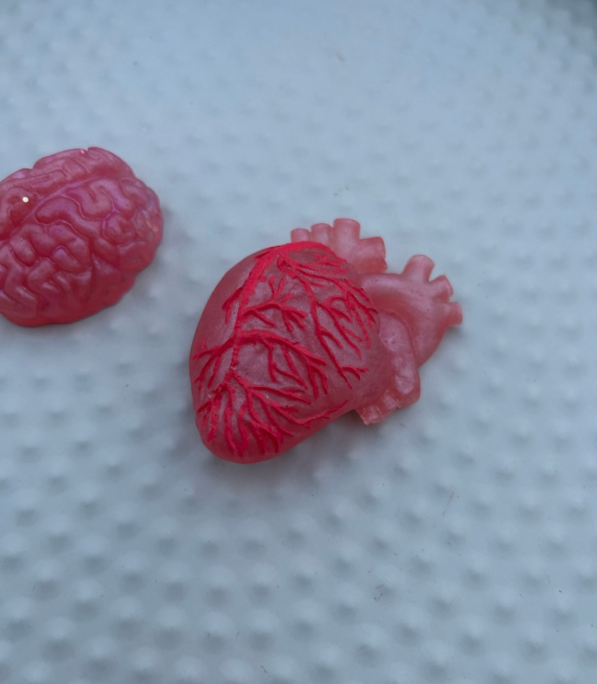 Brain & Heart