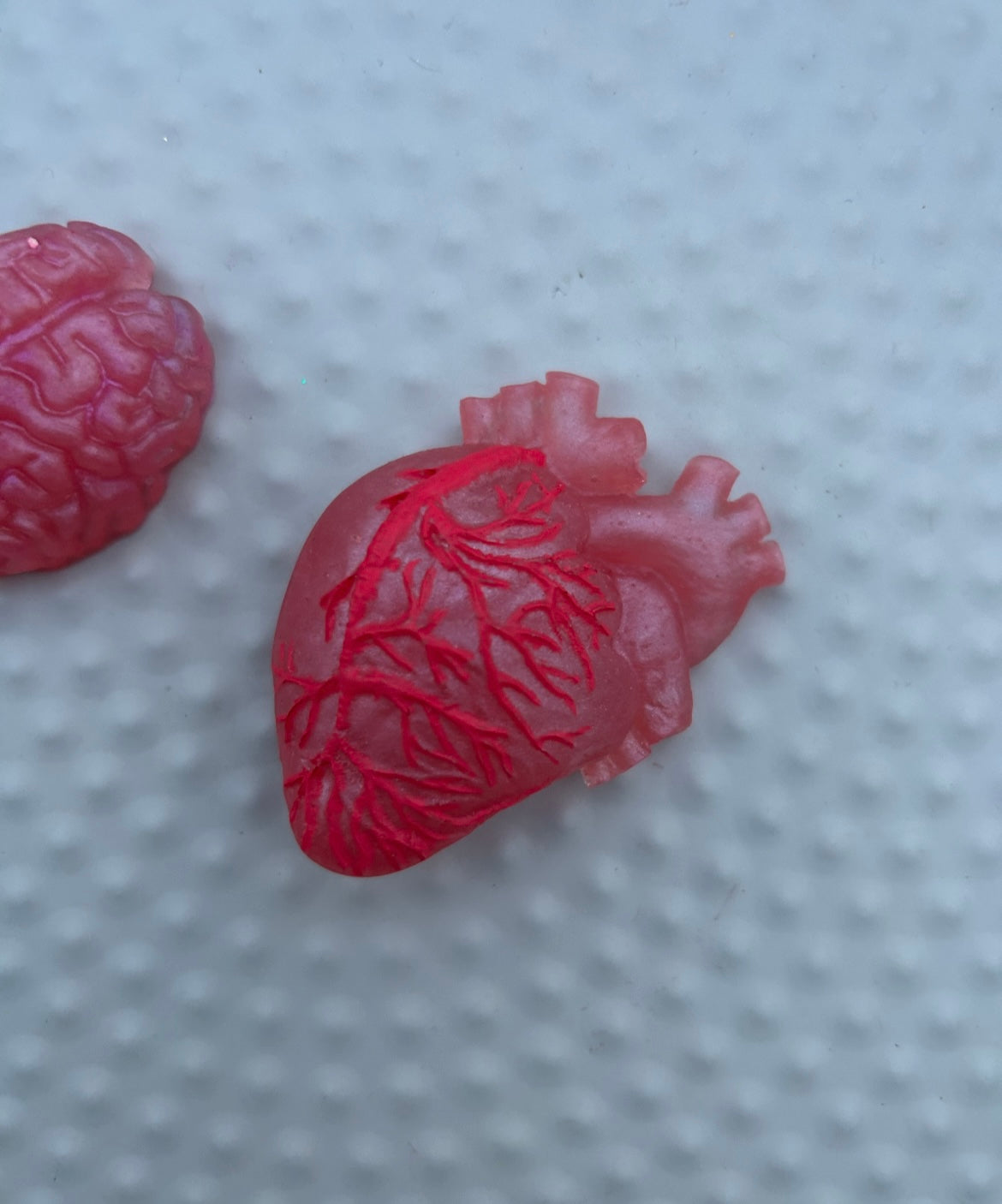 Brain & Heart