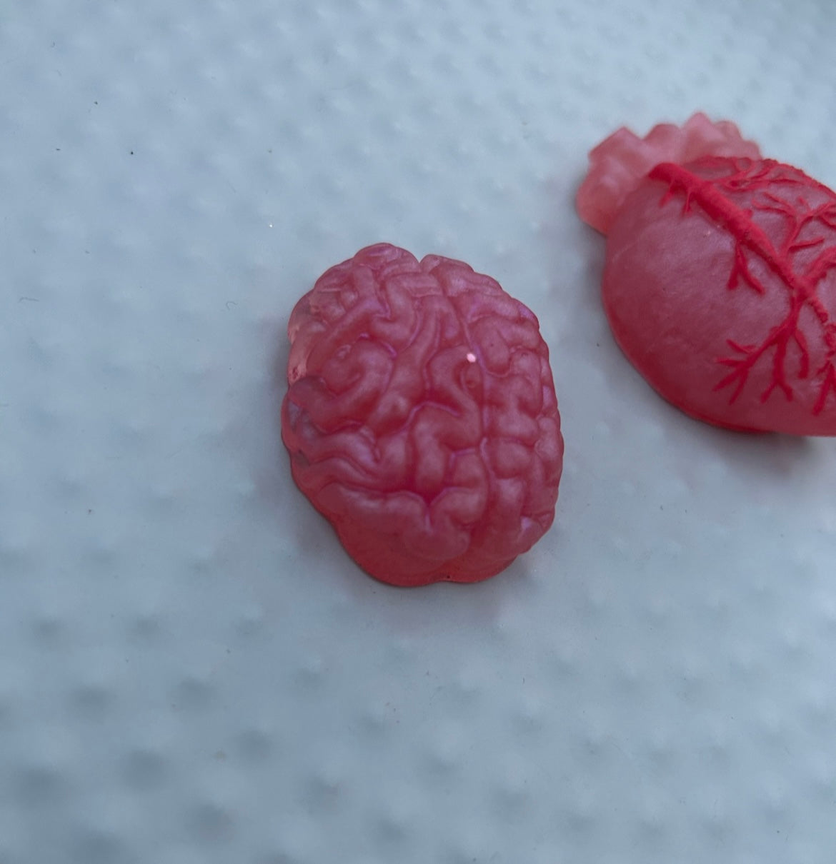 Brain & Heart