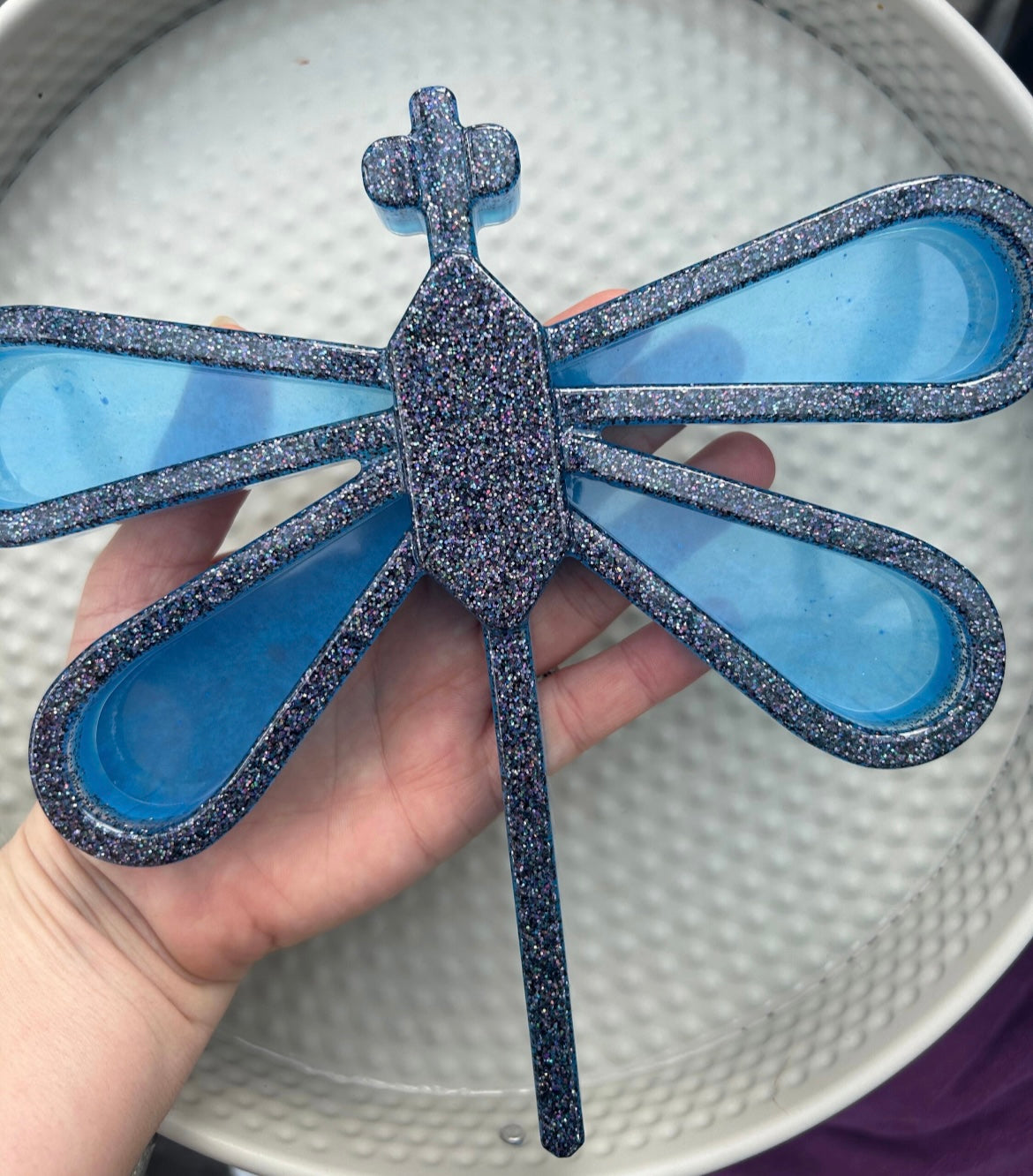Large dragonfly sensory tray