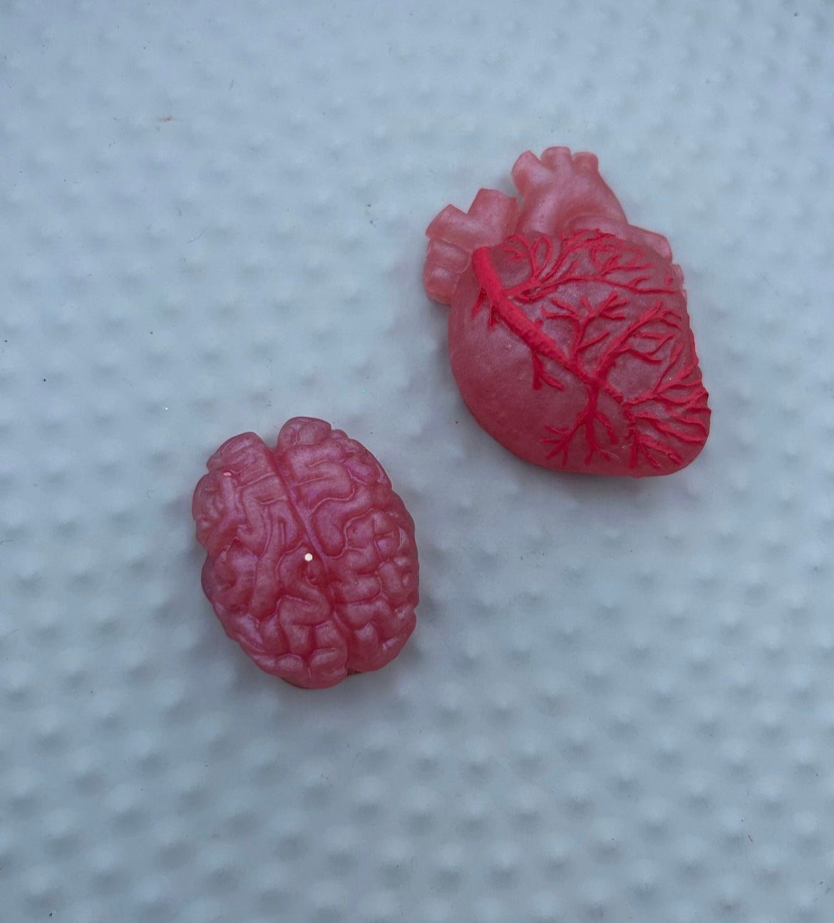 Brain & Heart