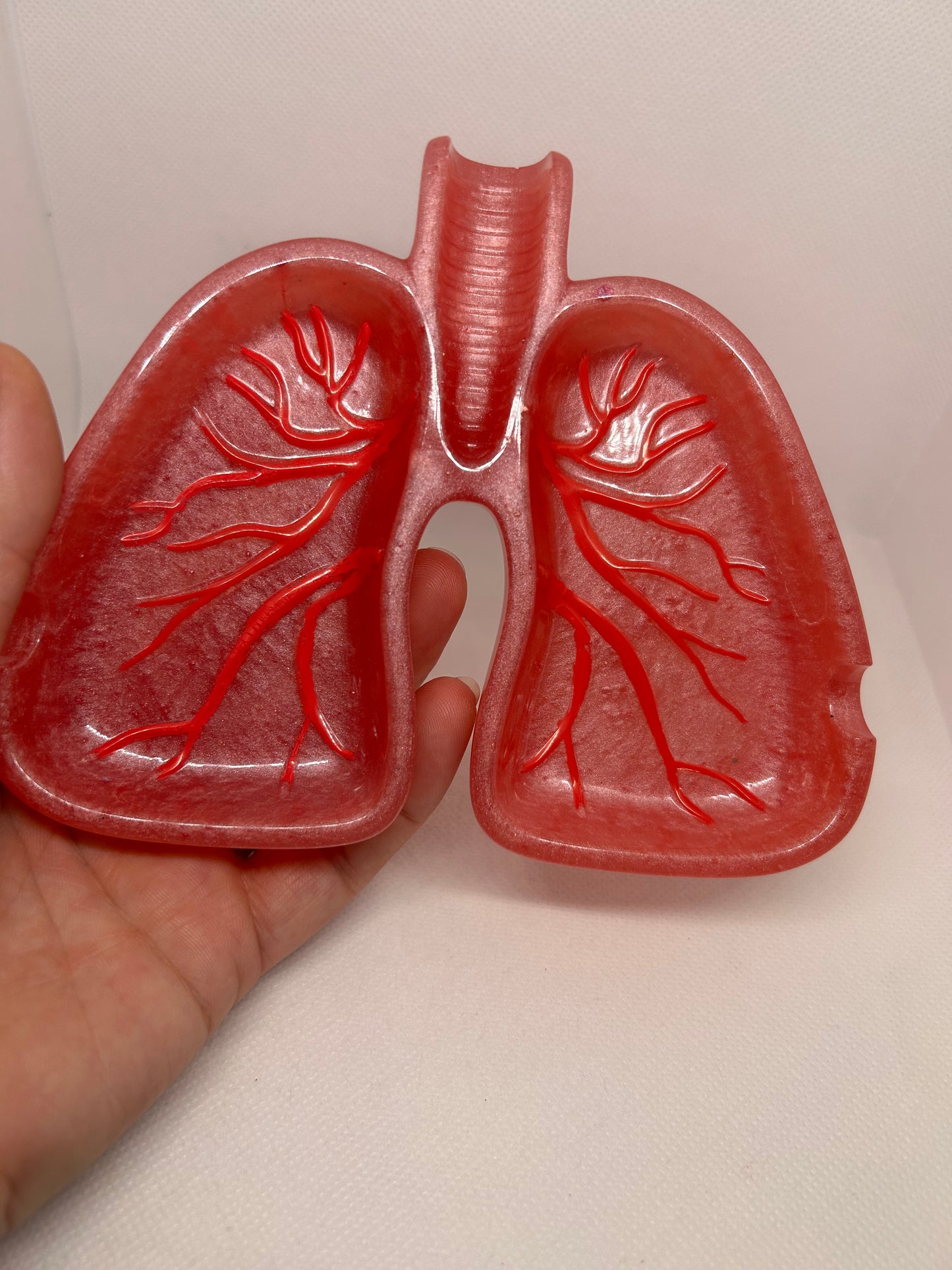 Lung sensory tray