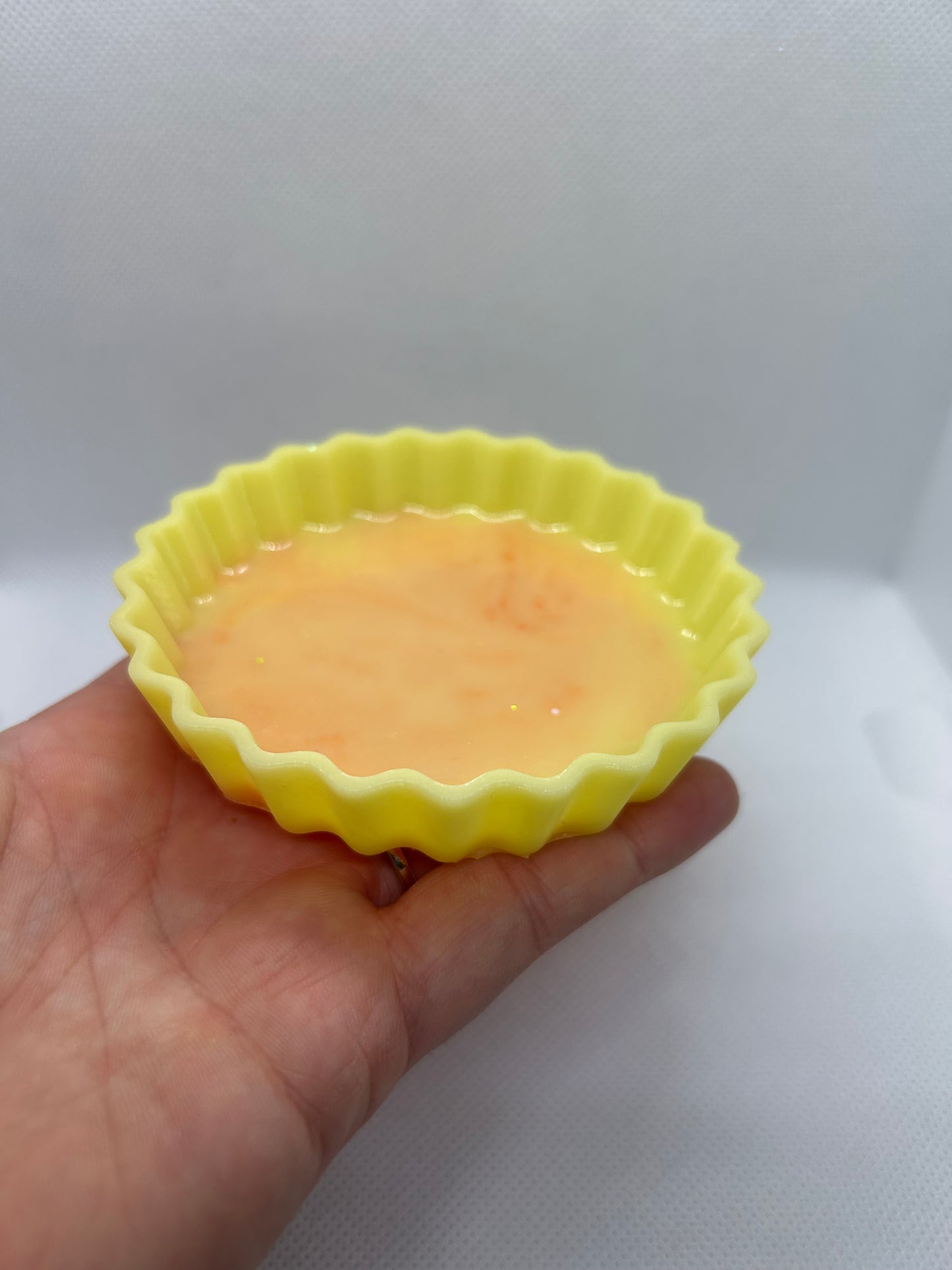 Large tart case / pie dish