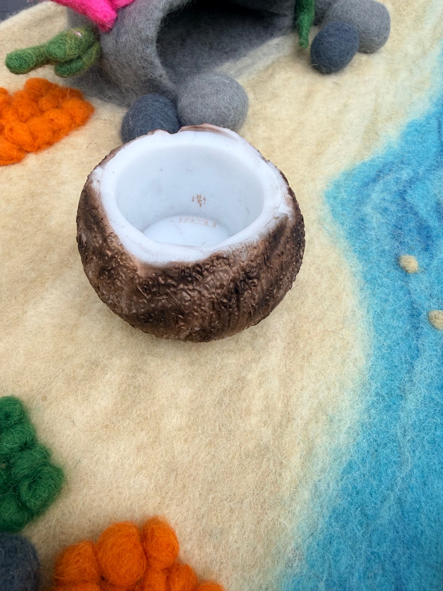 Ready made coconut bowl