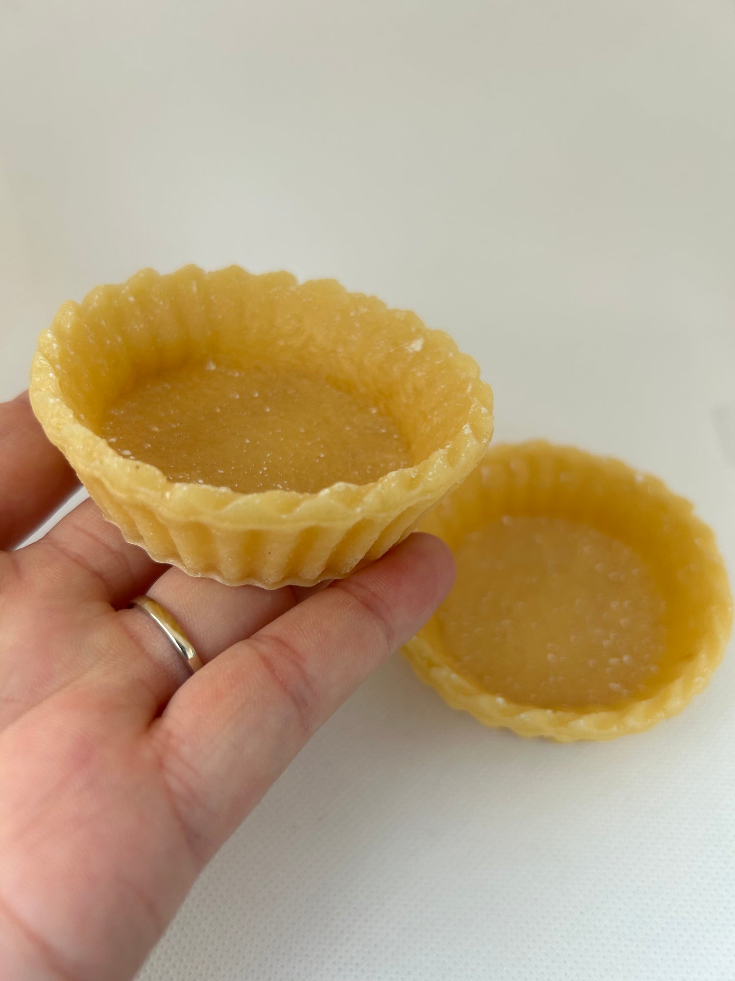 Tart / Pie case (1 piece)