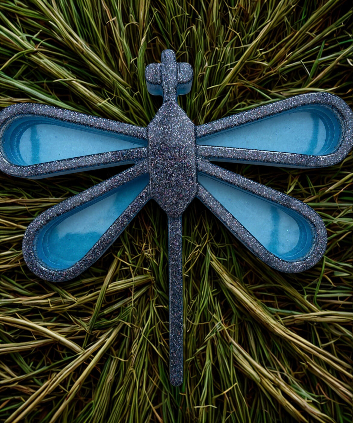 Large dragonfly sensory tray