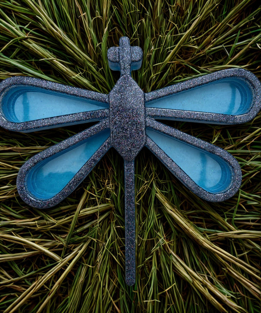 Large dragonfly sensory tray