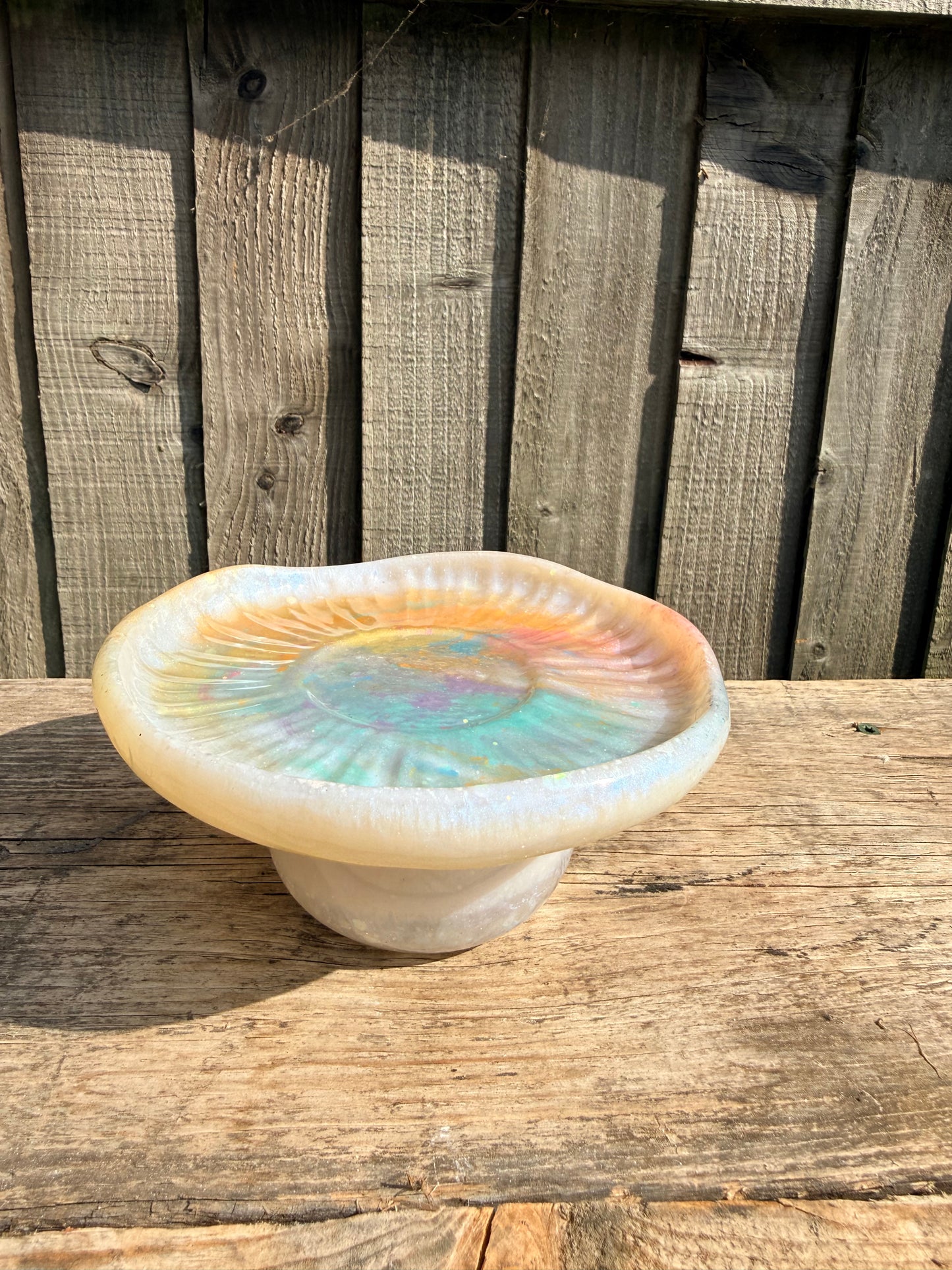 Magic mushroom jar & dish