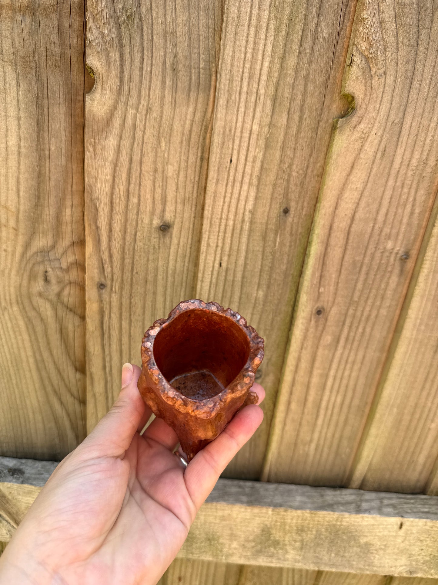 Tree trunk jar