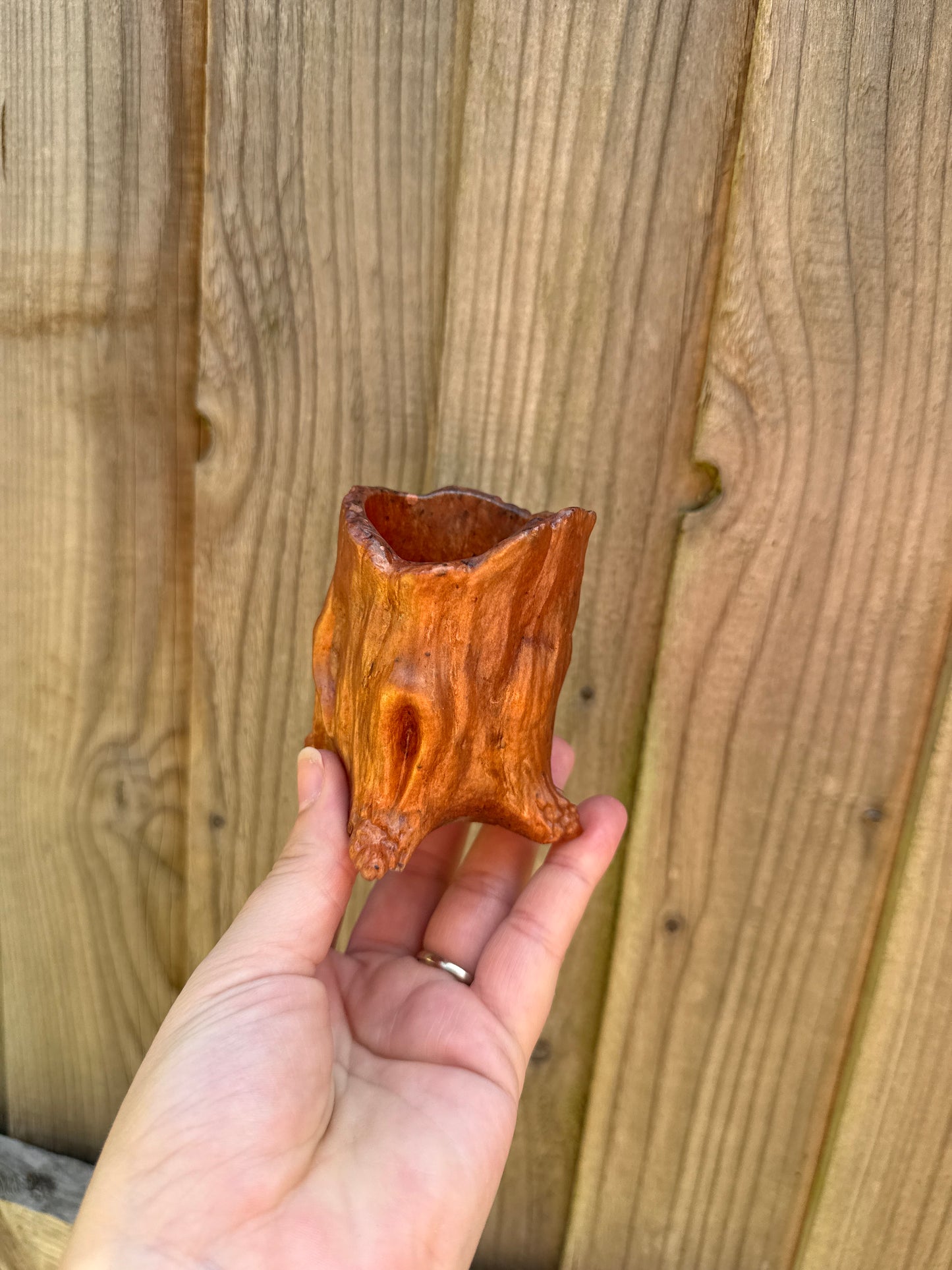 Tree trunk jar