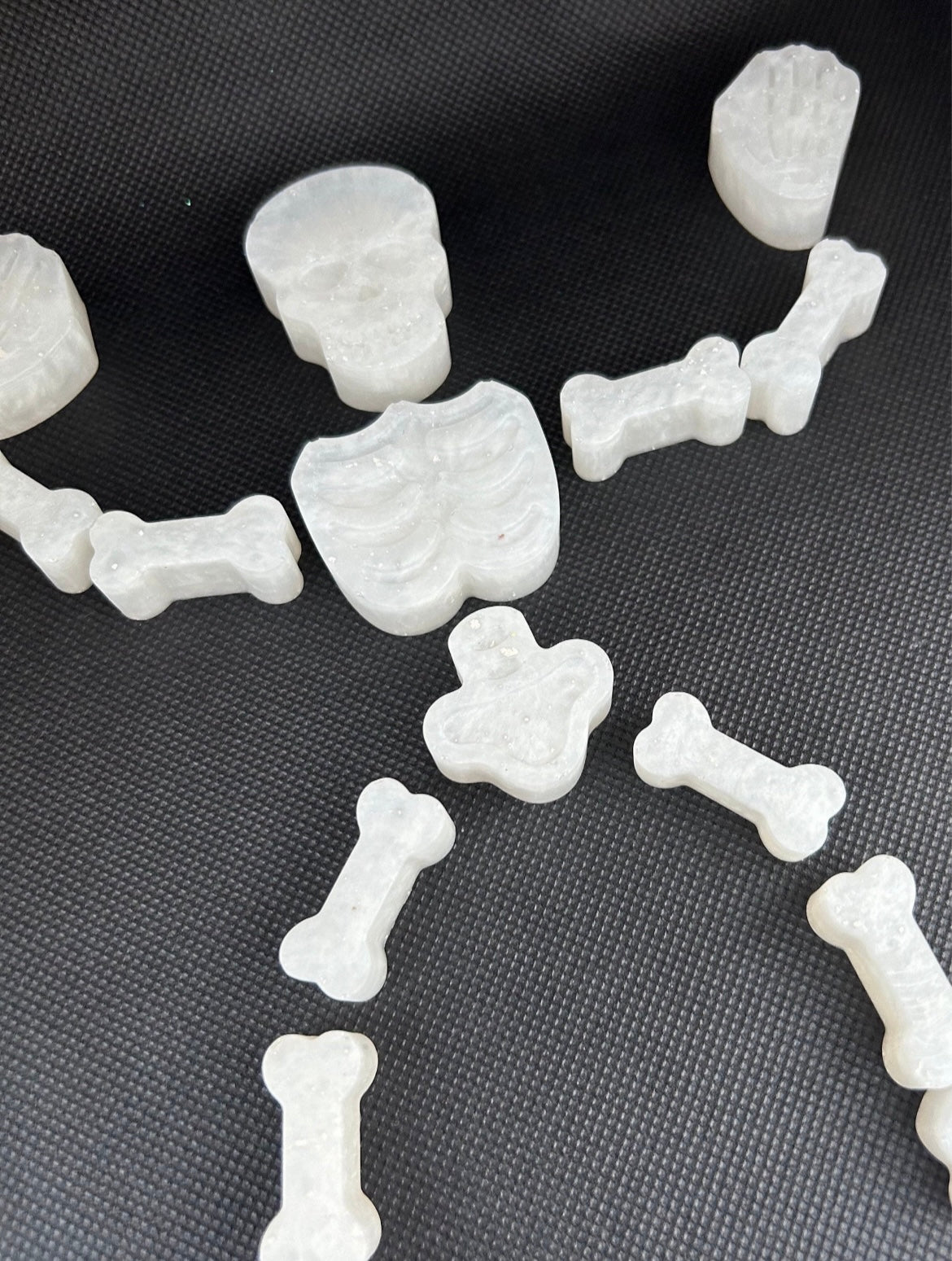 Skeleton puzzle