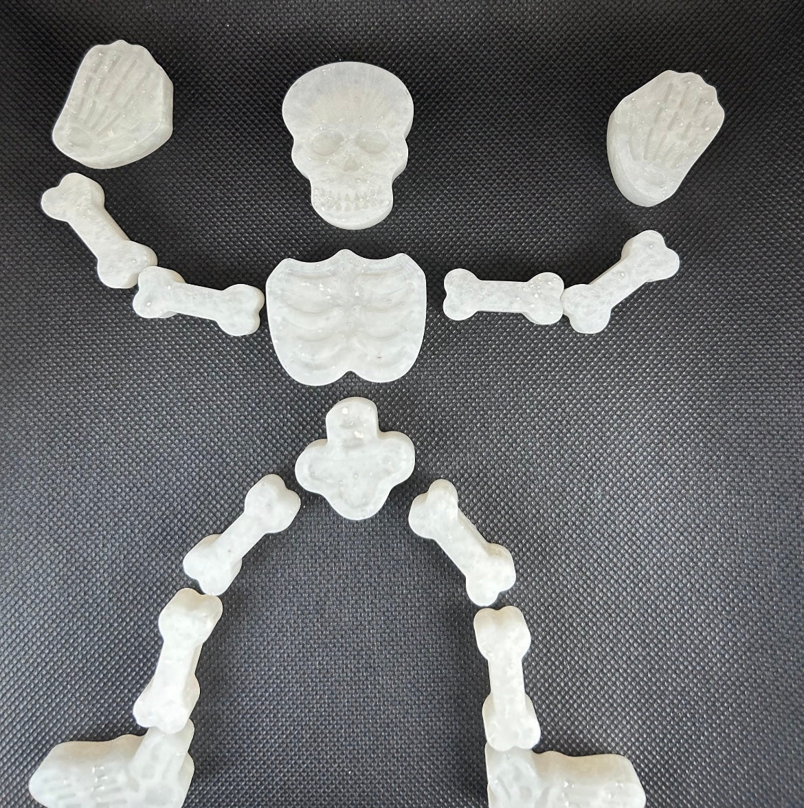 Skeleton puzzle