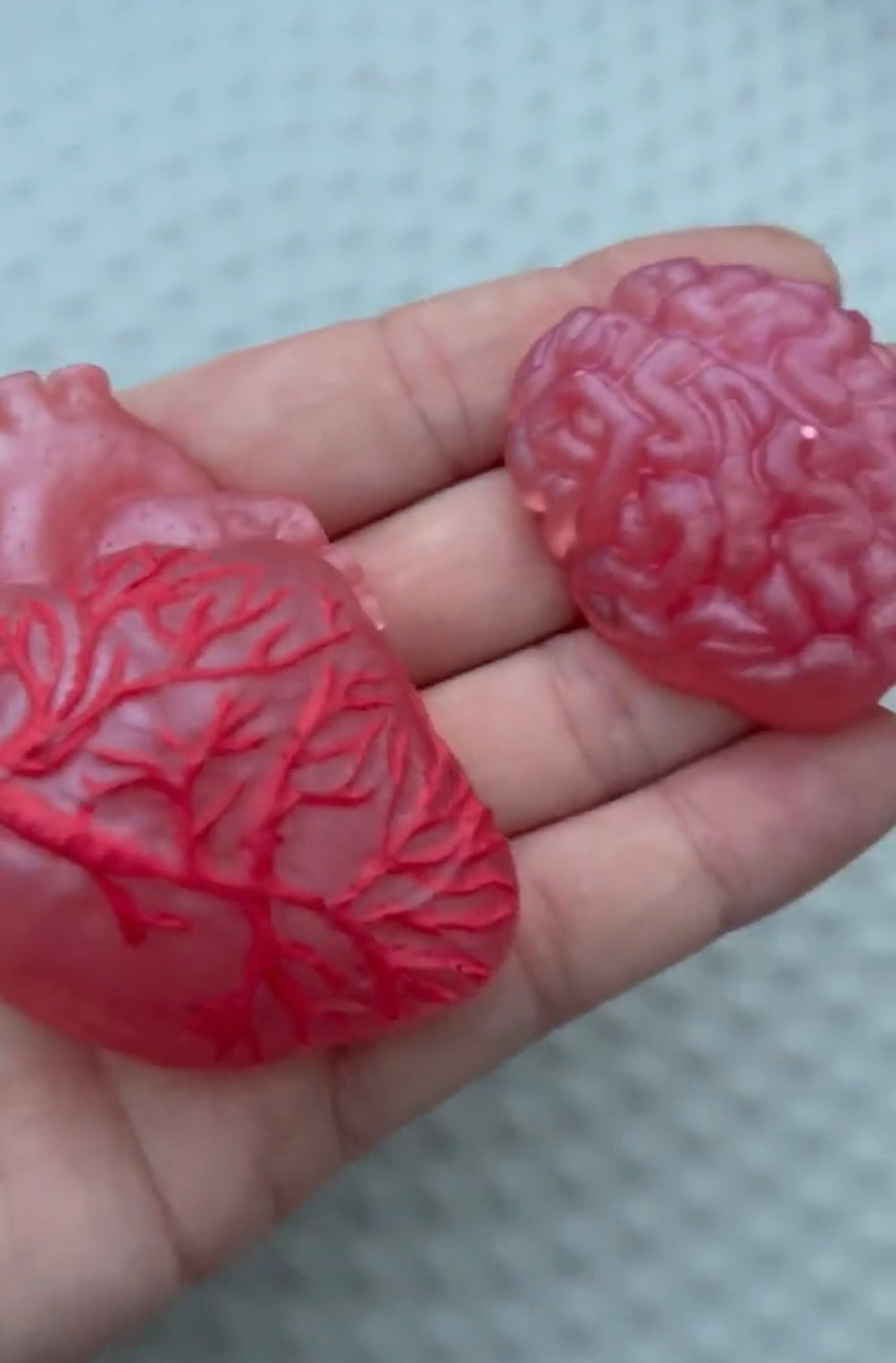 Brain & Heart