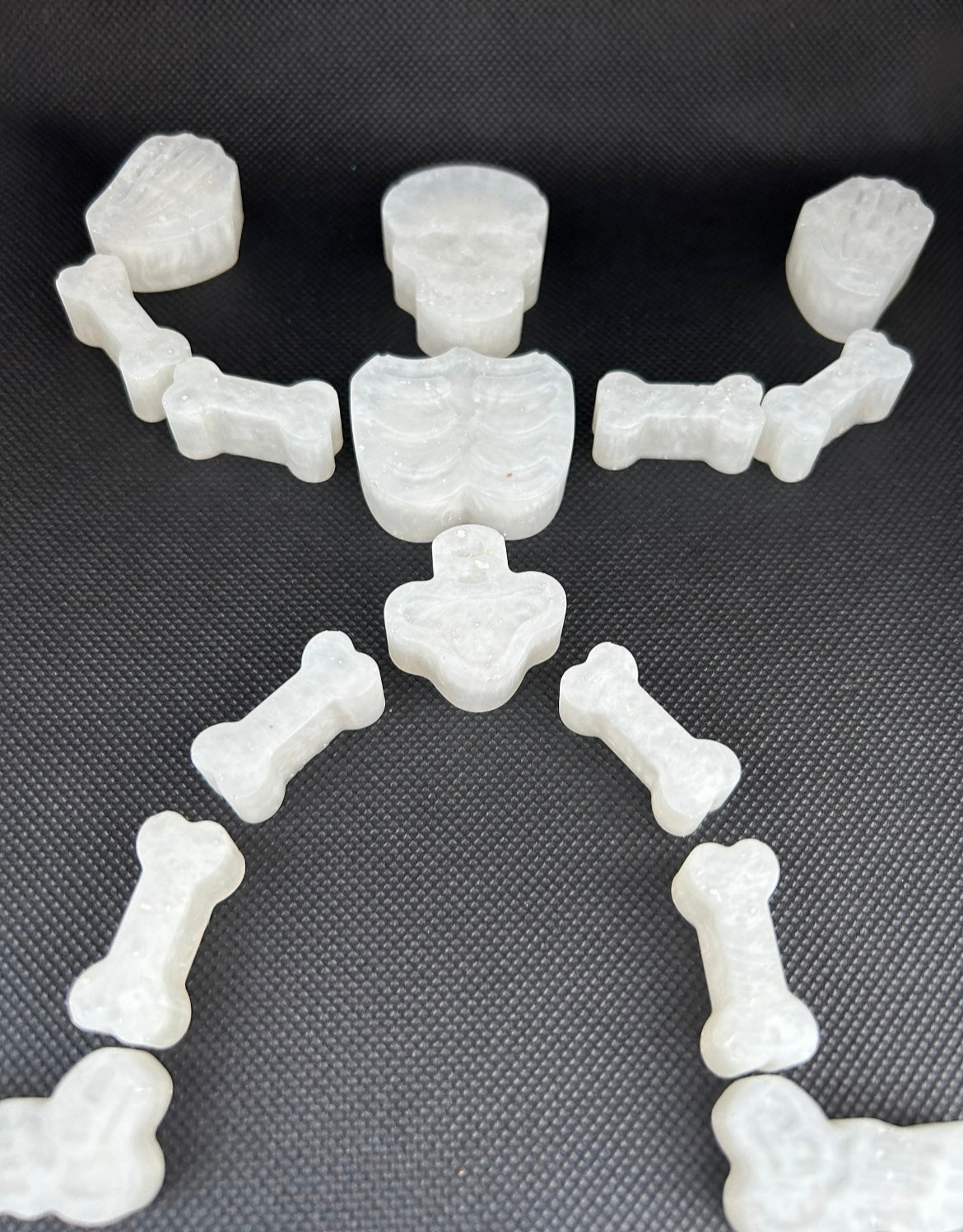 Skeleton puzzle