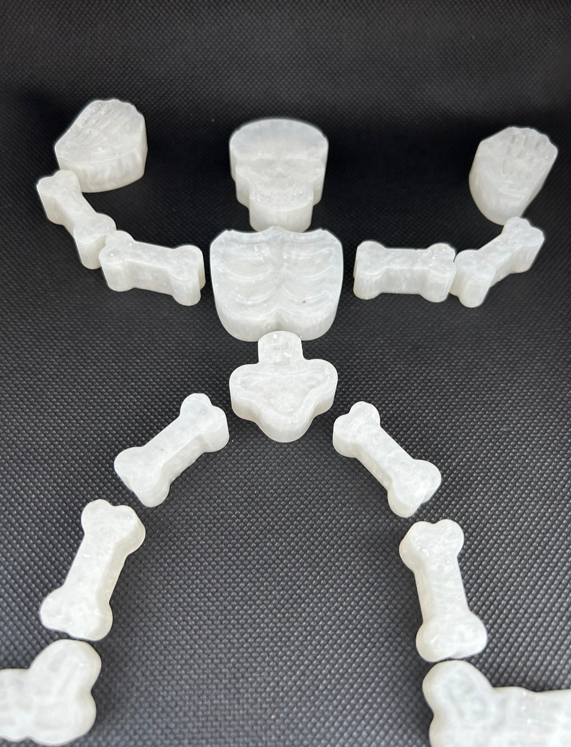 Skeleton puzzle