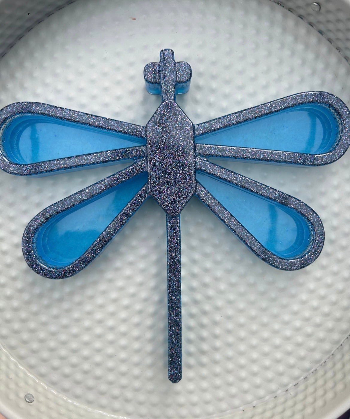 Large dragonfly sensory tray