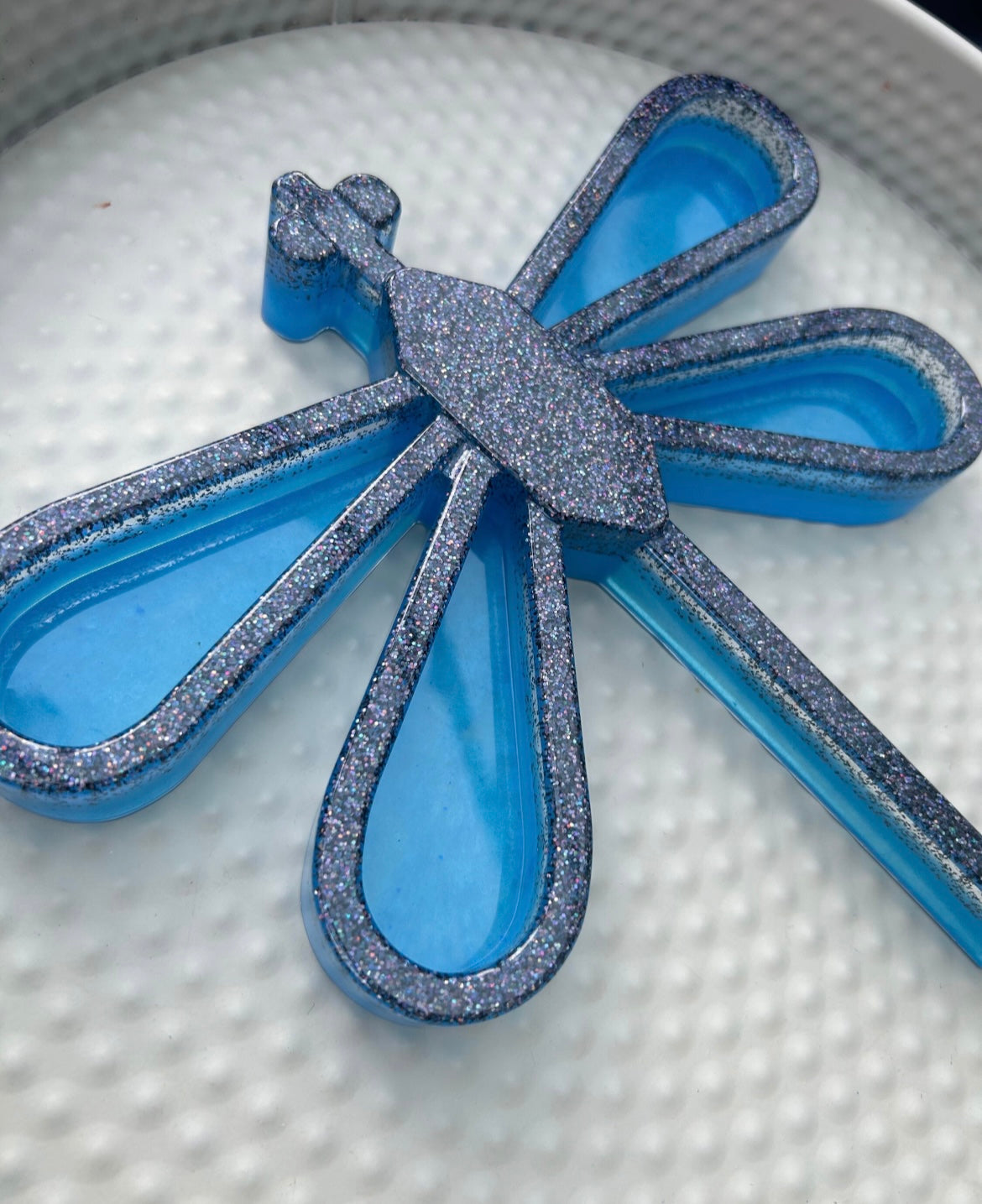 Large dragonfly sensory tray