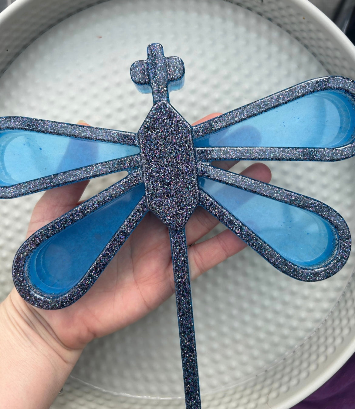 Large dragonfly sensory tray